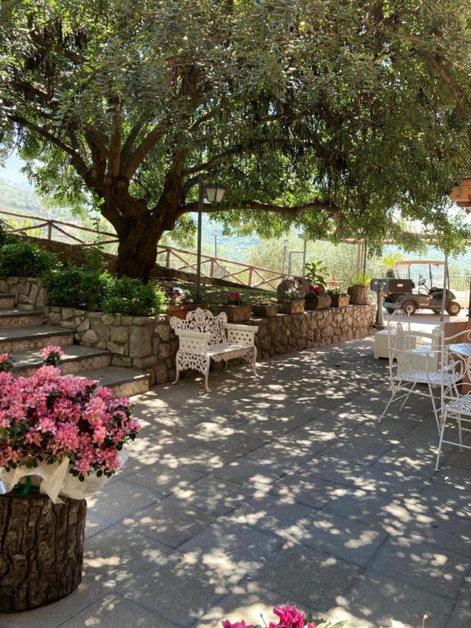Agriturismo Nonno Luigino Вико Екуензе Екстериор снимка