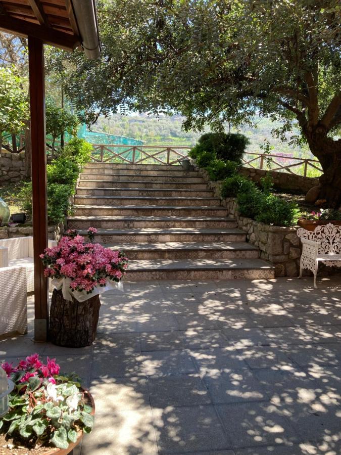 Agriturismo Nonno Luigino Вико Екуензе Екстериор снимка