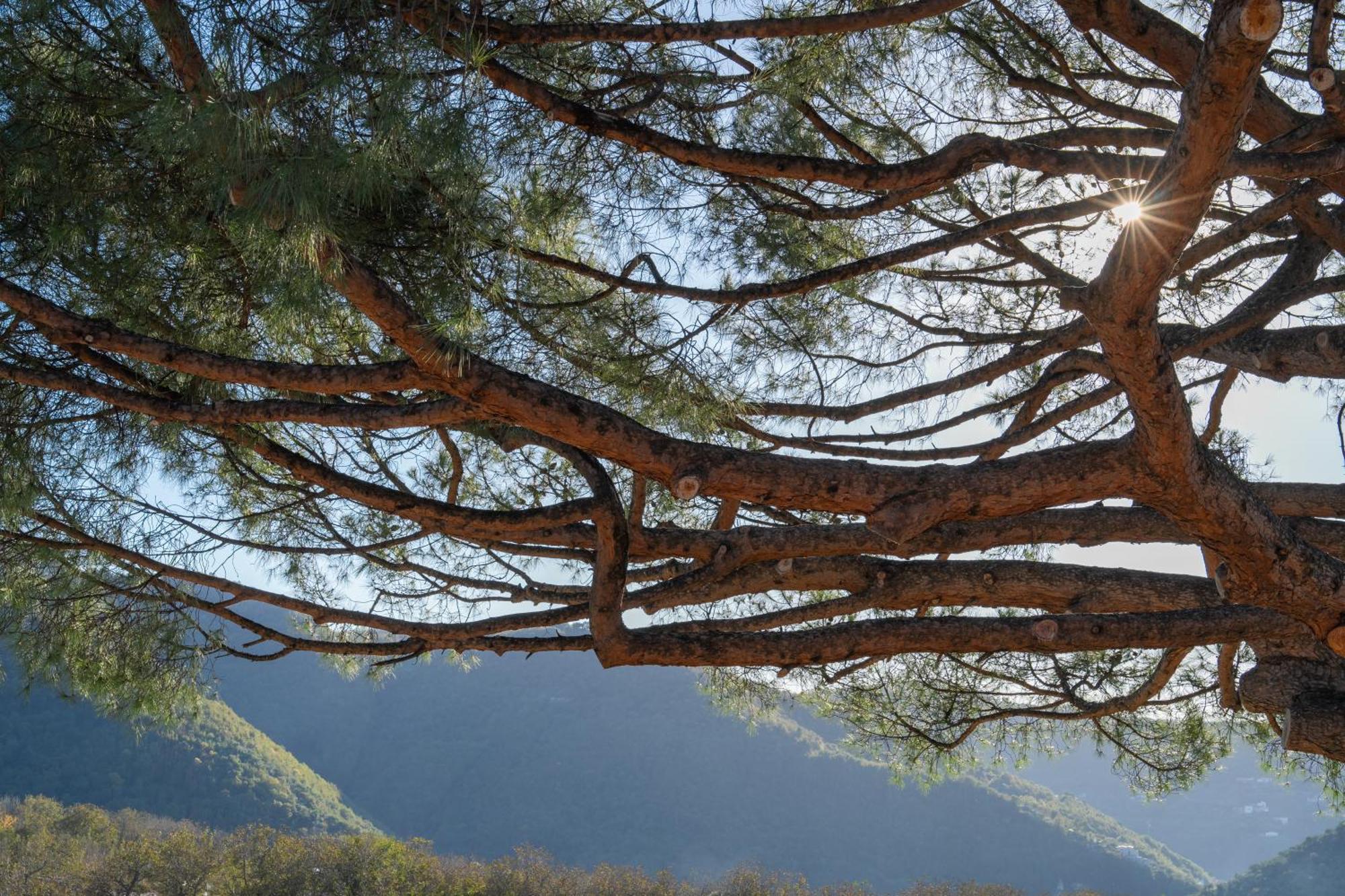 Agriturismo Nonno Luigino Вико Екуензе Екстериор снимка