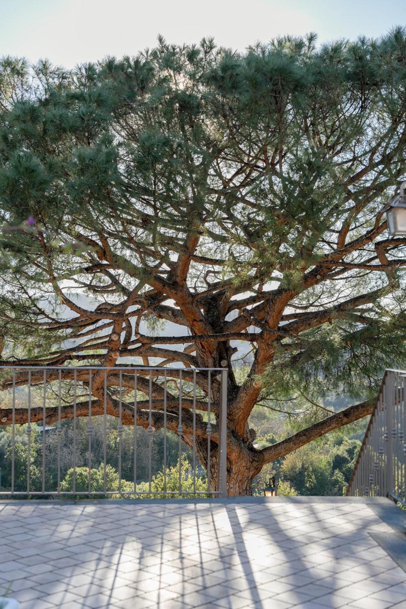 Agriturismo Nonno Luigino Вико Екуензе Екстериор снимка